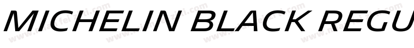 Michelin Black Regular字体转换